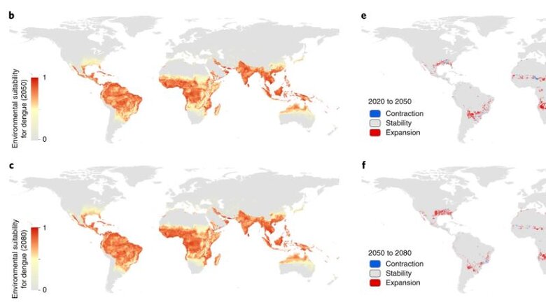 Dengue Fever Spread Map New Predictions For The Global Expansion Of Dengue Fever Until 2080 | Lcntdr